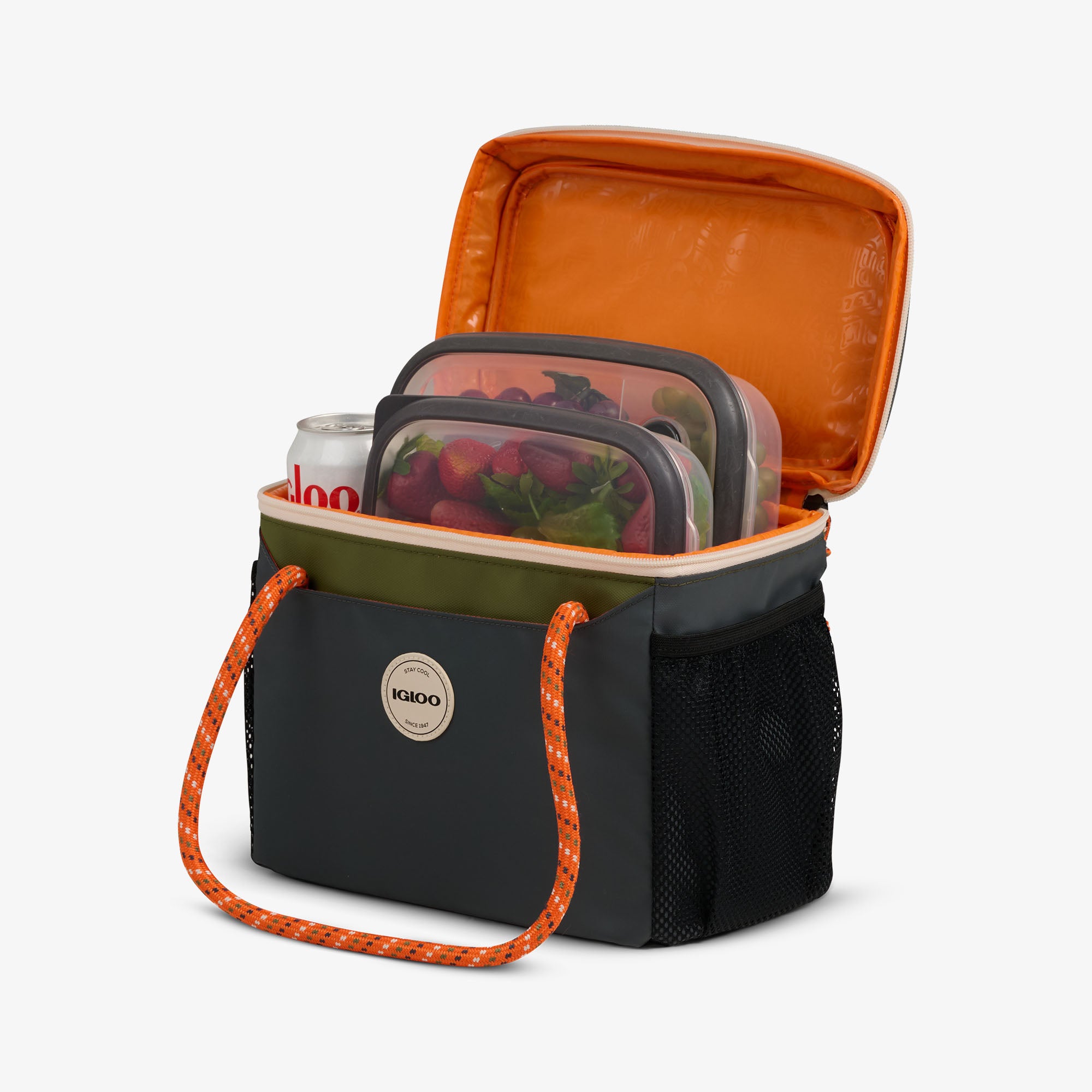 00066955-P1-1.jpg